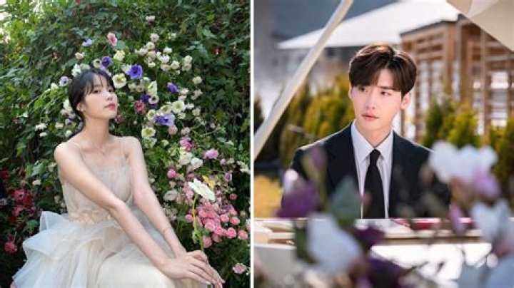 IU And Lee Jong Suk Marriage: A Beautiful Union Of Two Stars