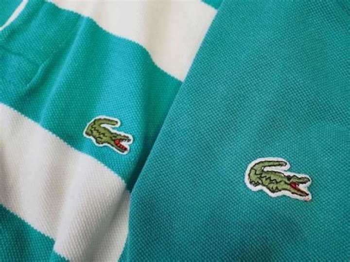 IZOD vs LACOSTE What is The Difference Between IZOD And LACOSTE