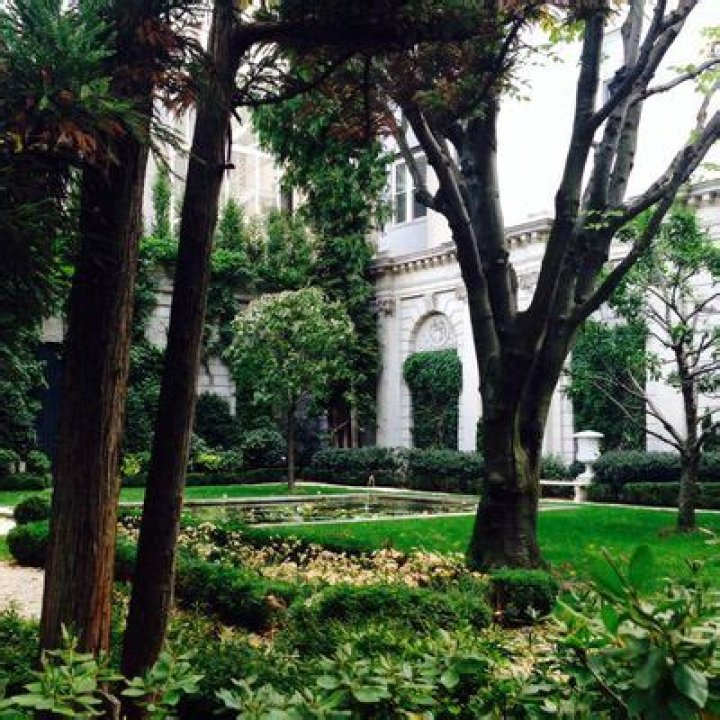 Jeff Koons, Cindy Sherman, and Other Big Artists Push Against Garden-Killing Frick Expansion