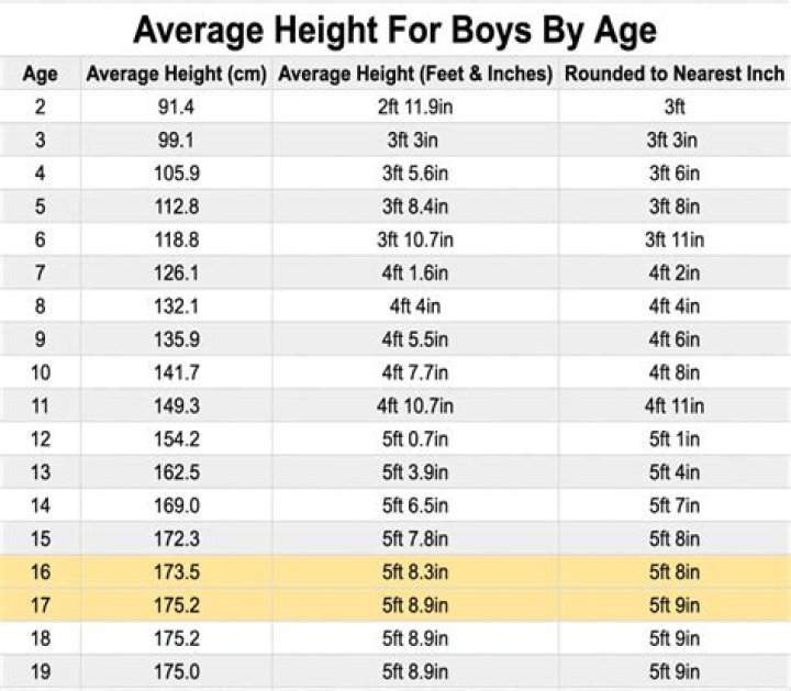 John Legend Height Weight Body Stats