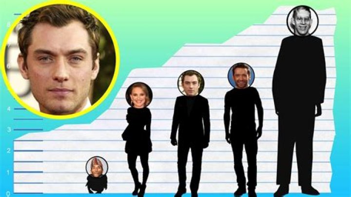 Jude Law height weight body stats