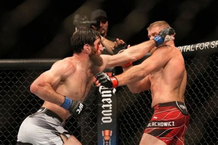 ‘Judges are drunk’ UFC fighters react to Jan Blachowicz vs Magomed Ankalaev ending in split draw