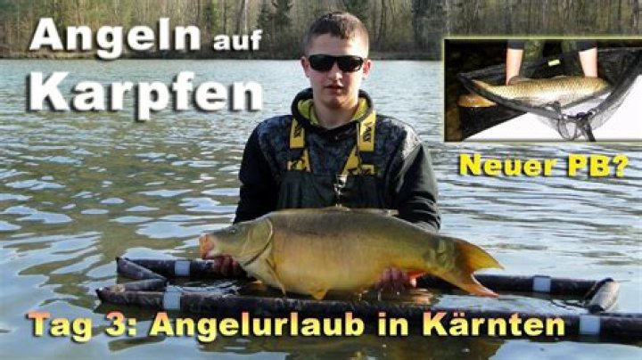 Kampf am Bodensee: Kunst oder Karpfen?
