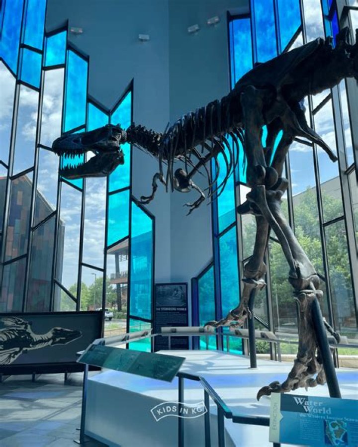 Kansas City Indoor Fun Guide | Macaroni KID Overland Park - Olathe