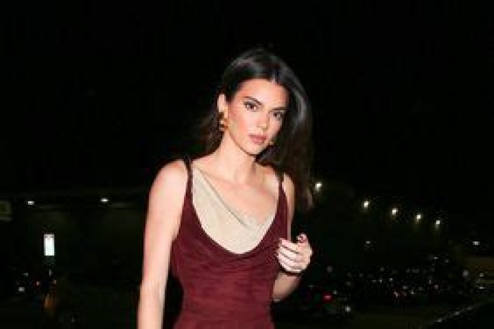 Kendall Jenner Paired the Slinkiest Cowl Neck Dress with Matching Oxblood Tights
