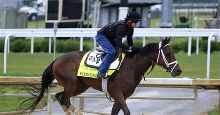 Kentucky Derby 2024 Contenders: Final Vegas Odds and Projections for Top Horses | News, Scores, Highlights, Stats, and Rumors