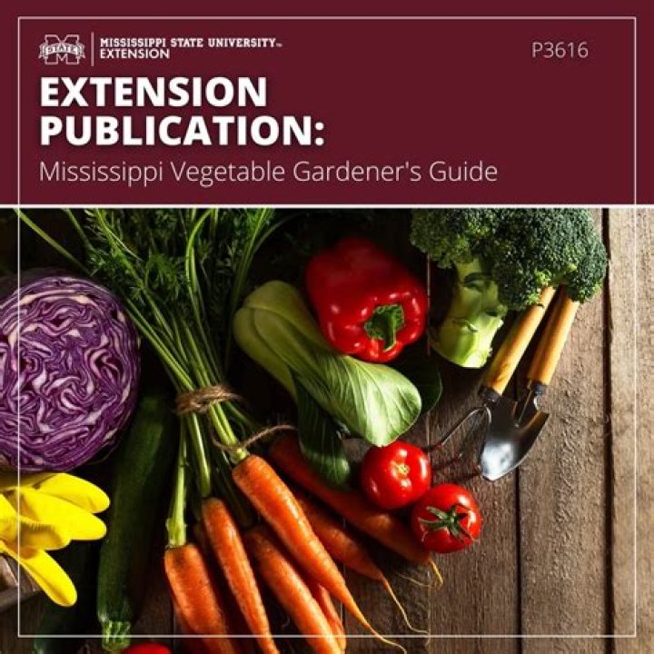 Landscape and Garden Design | Mississippi State University Extension Service
