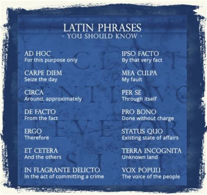 Latin phrases you pretend to understand