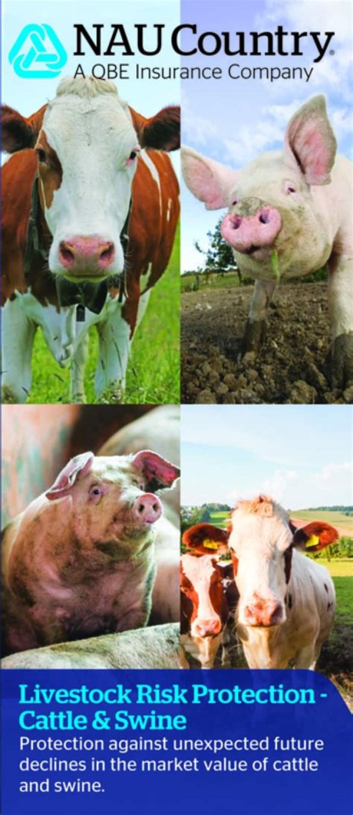 Livestock Risk Protection Insurance for Feeder Cattle in Mississippi