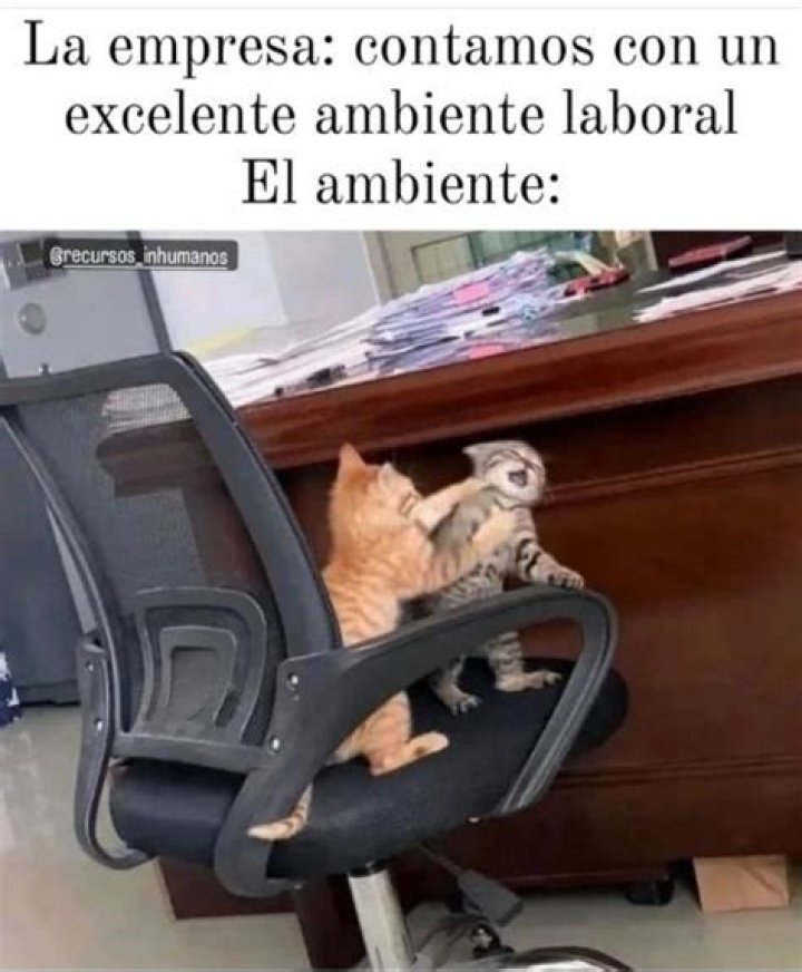 Los 10 memes que resumen tu jornada laboral