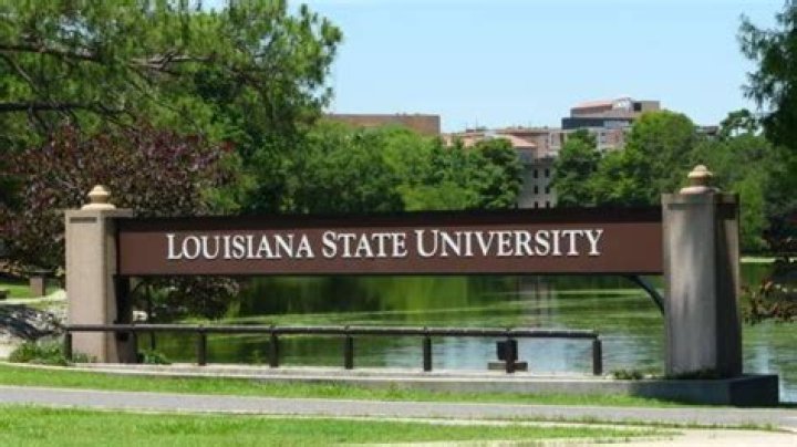 Louisiana State University - Alexandria Softball Scholarships Guide