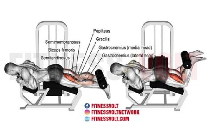 Lying Leg Curl Exercise | Form & Common Mistakes
