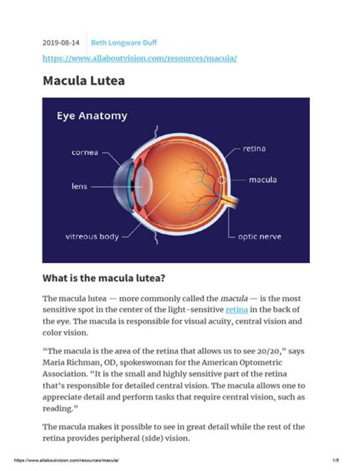 Macula Lutea - All About Vision