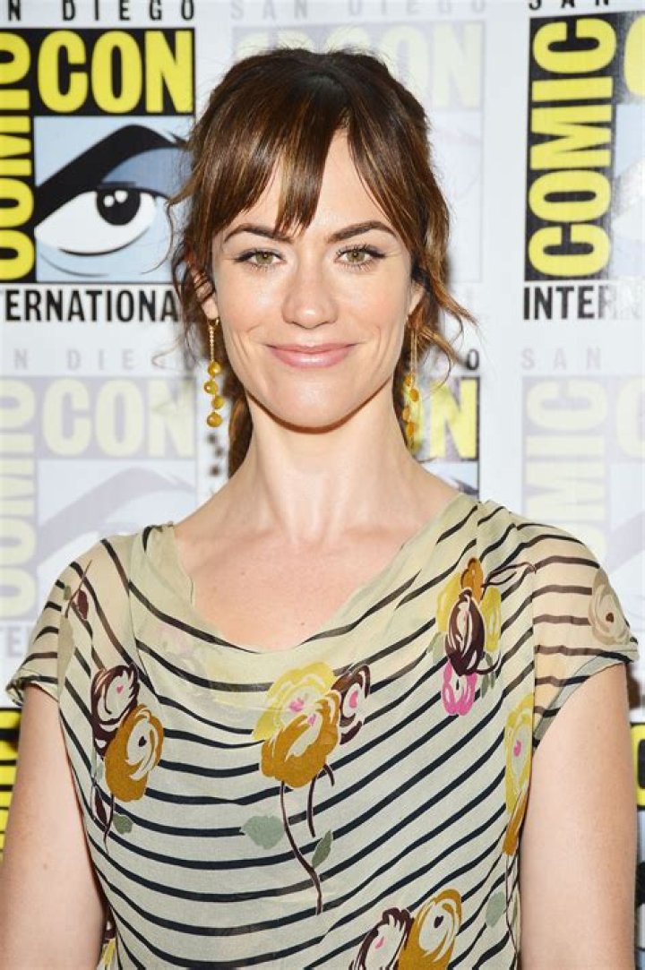 Maggie Siff Net Worth  - Pulptastic