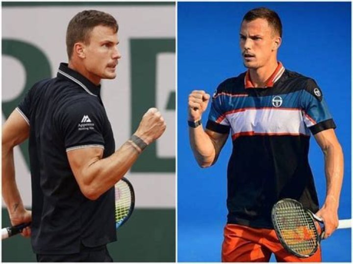 Márton Fucsovics Bio, Age, Height, Girlfriend, Net Worth