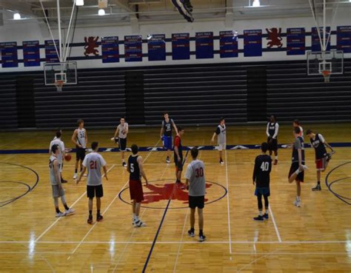 Mens Basketball Recruiting | St. Viator High School