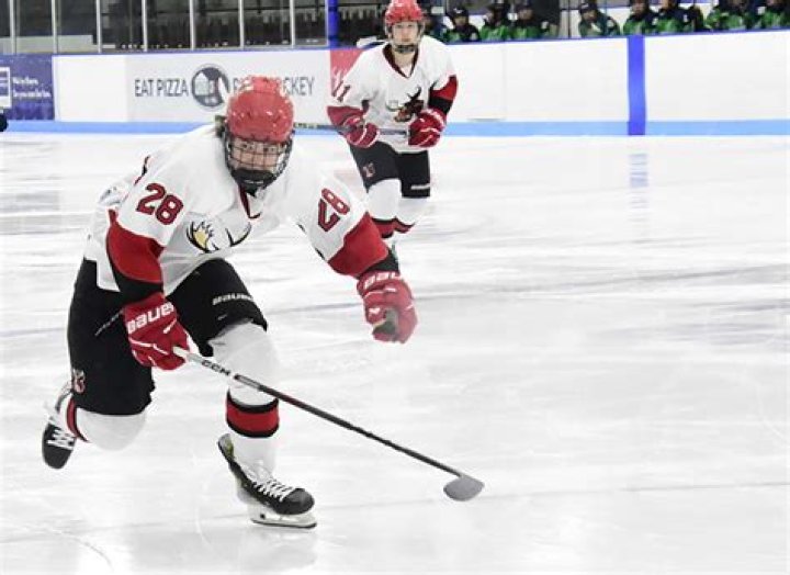 Mens Ice Hockey Recruiting | Monticello Senior High School