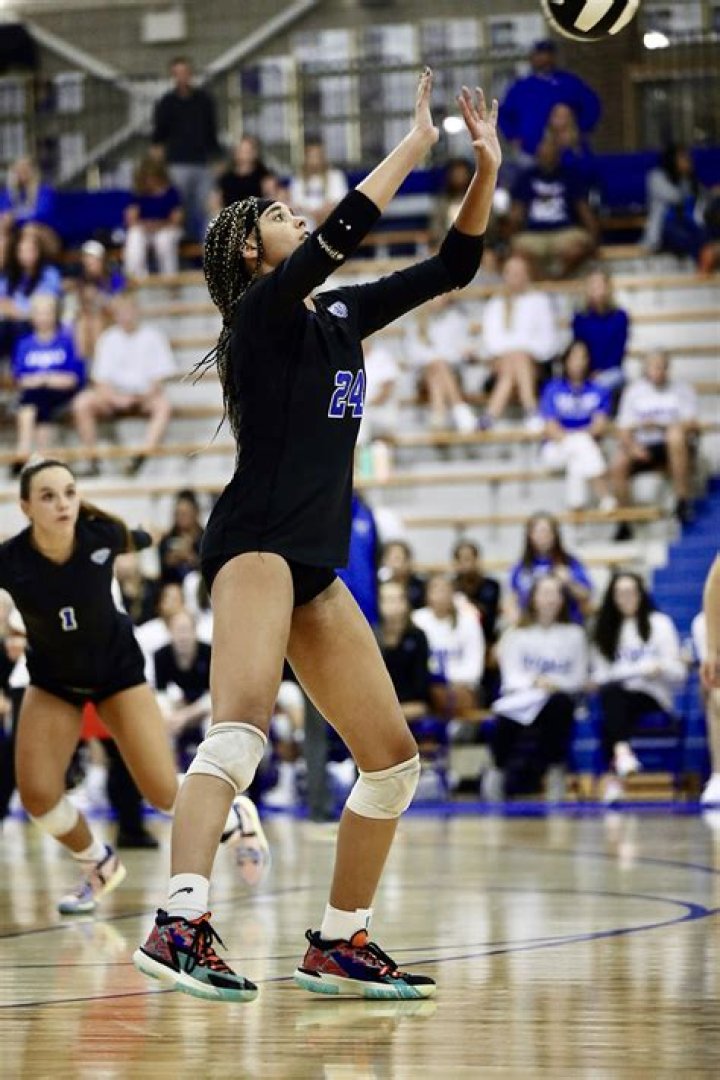 Mens Volleyball Recruiting | Hamilton Southeastern High School