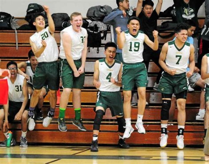 Mens Volleyball Recruiting | Vincent High School