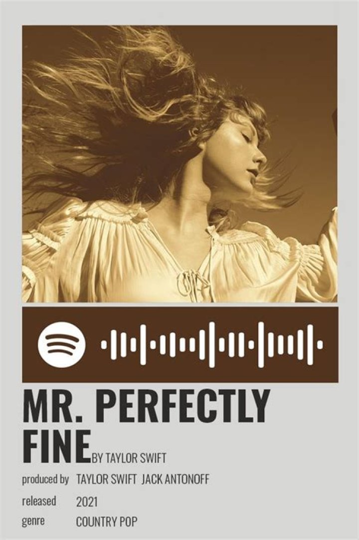 “Mr. Perfectly Fine” by Taylor Swift