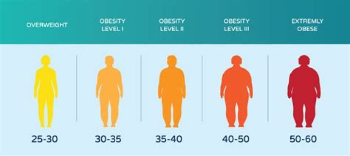 My Doctor Said I Was Obese Based Only On My BMI