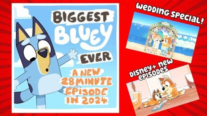 New 'Bluey' Episodes Disney+ Release Date Has Been Confirmed For 2024