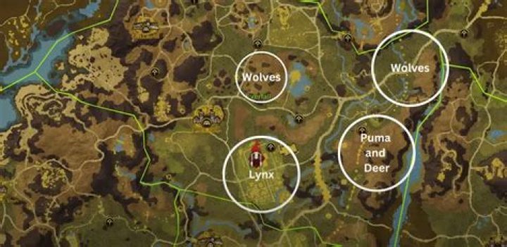 New World Thick Hide & Rawhide Farm Locations