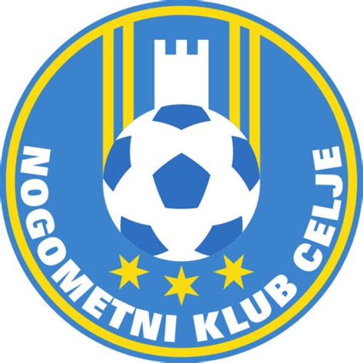 Nk Celje: 21 Football Club Facts