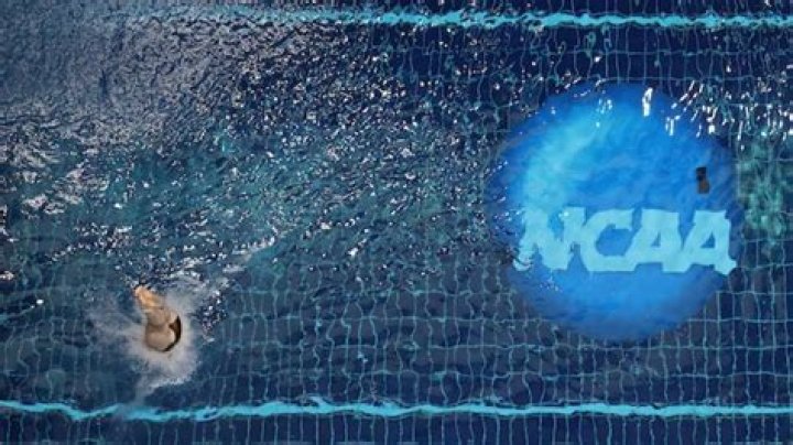 North Carolina Women's Diving Recruiting Guide