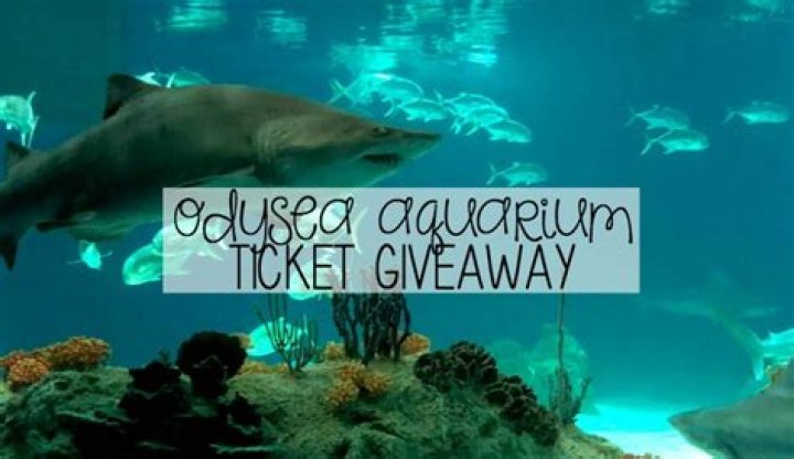 OdySea Aquarium Monster Fish GIVEAWAY!
