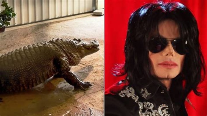 Of Course Joe Exotic’s Alligators Belonged to Michael Jackson