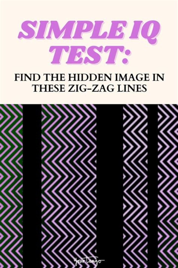 People With Higher Than Average IQs Can See The Hidden Image In These Zig-Zag Lines