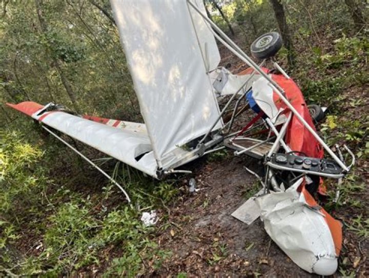 Pilot, 75, killed in ultralight aircraft crash in Hall County