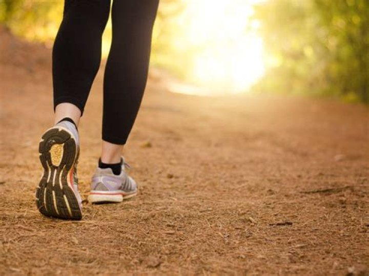 Por qué las largas caminatas cambiarán tu vida y te pondrán en forma