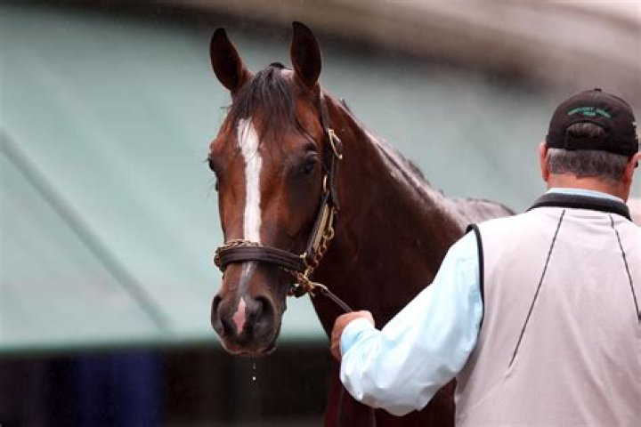 Preakness 2024 Payout: Prize Money Payout, Order of Finish and Reaction | News, Scores, Highlights, Stats, and Rumors