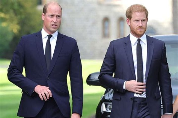 Prince William Is Against Prince Harry Returning to Royal Duties
