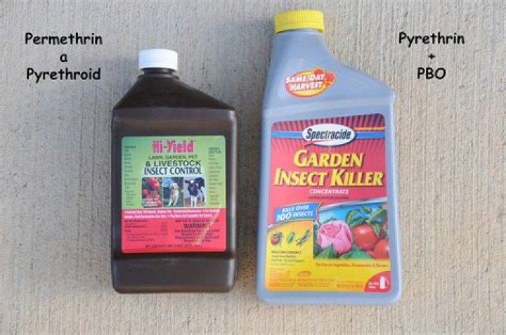 Pyrethrins vs Pyrethroids, Vol. 6, No. 29