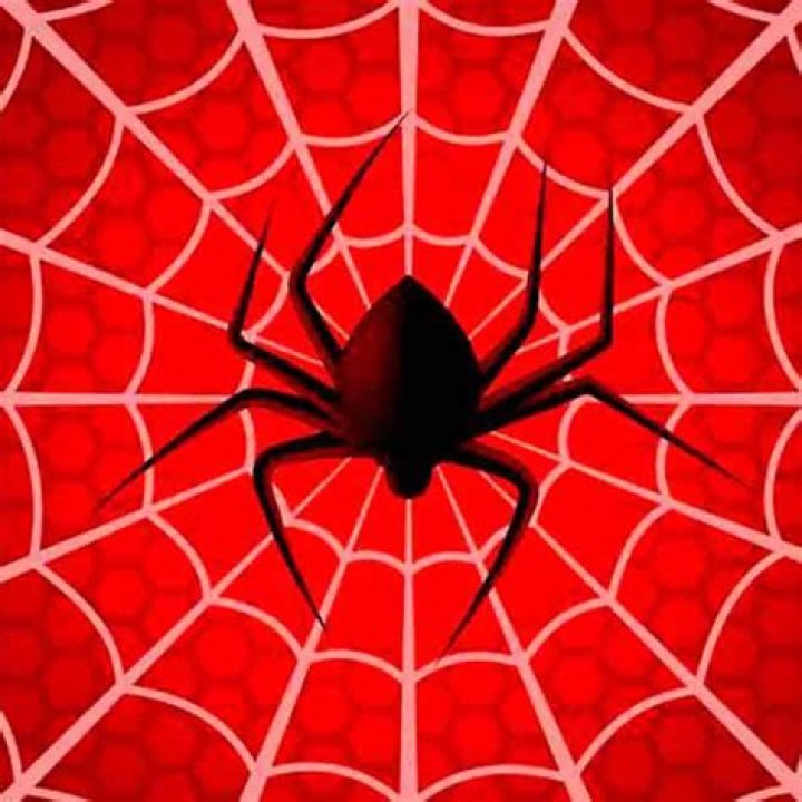 Qué señal deja en la piel una picadura de araña