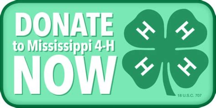 Rankin County 4-H | Mississippi State University Extension Service