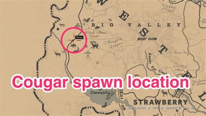 Red Dead Redemption 2 Cougar Locations