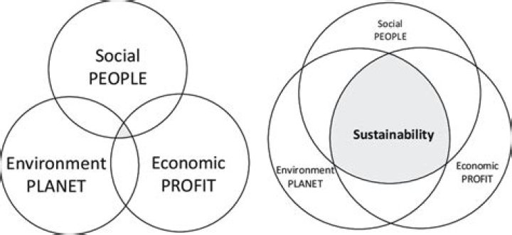 Saving the Planet—and the Bottom Line—with the Purpose-Driven Enterprise