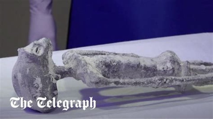 Scans on two ‘alien’ bodies in Mexico suggest that they are not assembled or manipulated