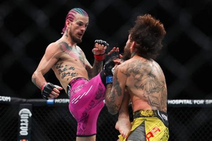 Sean O'Malley: I'll Fight Jake Paul 'to Save UFC 303' amid Conor McGregor Rumors | News, Scores, Highlights, Stats, and Rumors