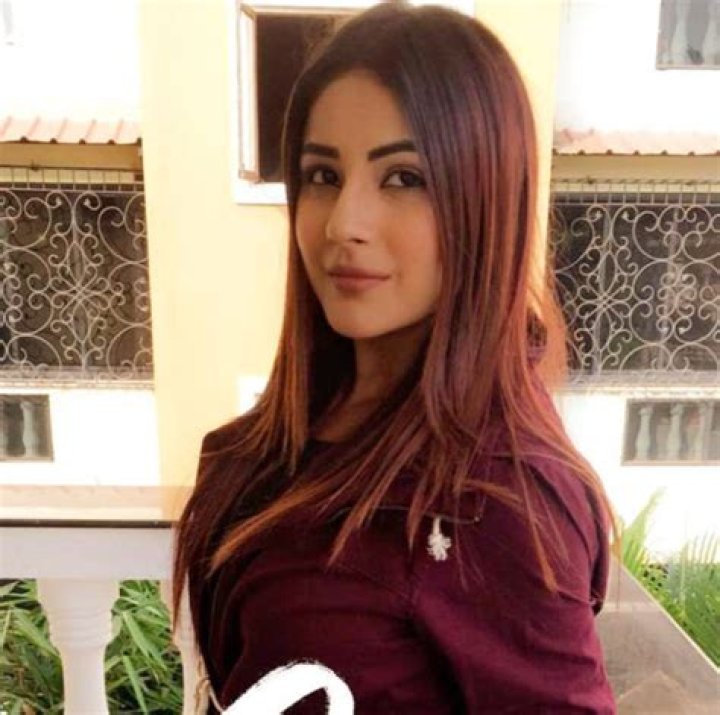 Shehnaz Kaur Gill(Bigg Boss13) wiki Biography Age Boyfriend & more.
