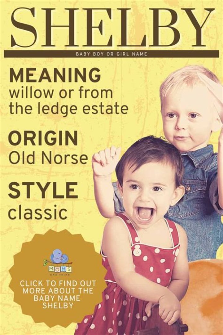 Shelby Meaning in English, Shelby Baby Name Origin Gender Meaning Pronunciation