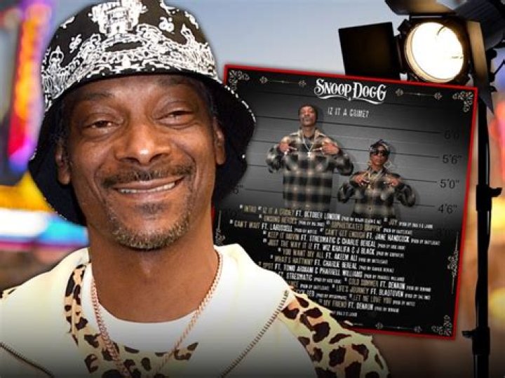 Snoop Dogg: A Journey Through His Criminal Offences