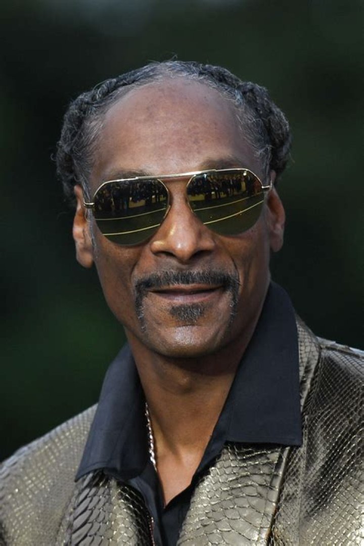 Snoop Dogg: Unraveling The Mysteries Of His Criminal Record