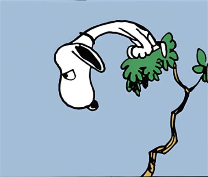 Snoopy - Vulture