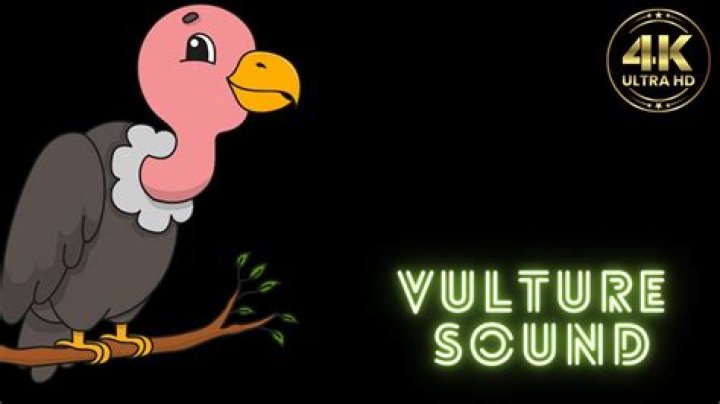 Sound Design - Vulture