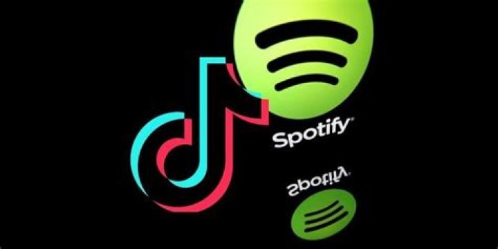 Spotify is testing a TikTok-like video feed to help you 'discover' new music